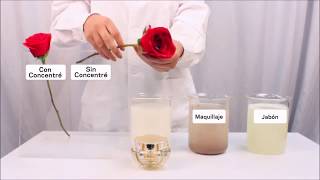 O Que A Nova Fórmula Do Concentrè Total By Lbel Faz Pela Sua Pele