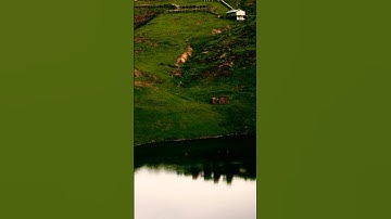 تلاوة خاشعة #love #duet #اكسبلور #music #قران_كريم #ايقنت #birds #دويتو