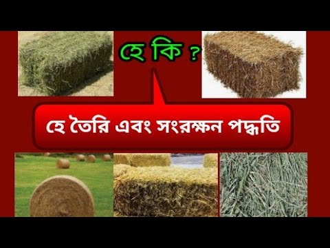 ভিডিও: কীভাবে হার্বেরিয়াম রাখবেন