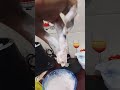 Popcorn#food#viral#video#viralshorts#edit#viralvideo#cooking#viralshort#love#viralvideos#explore