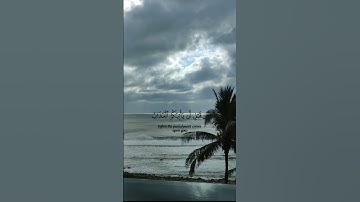سورة الزمر الآية 53 بصوت الشيخ ماهر المعيقلي