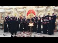 Sorrowful Mother/Страдальна Мати (arr. Roman Hurko) Vydubychi Choir