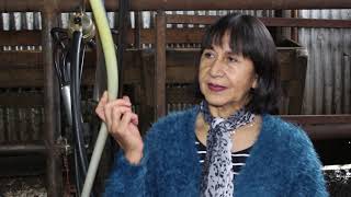 Quesería doña norma Los Angeles, Región del Biobío