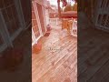 TOTAL DECK RENEWAL