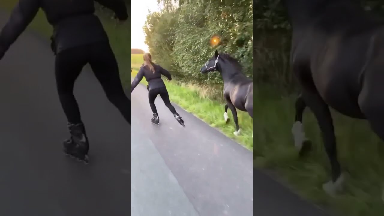 horse & skating girl A beautiful video YouTube
