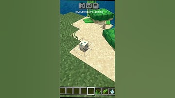 How to hatch turtle egg in Minecraft?
