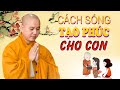 Cách Tạo Phúc "ĐỂ DÀNH CON CHÁU" Ai Cũng Nên Nghe Dù Chỉ 1 Lần (Rất Hay) _Thầy Thích Pháp Hòa