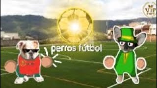 fútbol: school perros