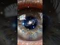"The Universe Inside Your Eyes 🌌 | Mind-Blowing 3D Animation" #Universe #Cosmos #Galaxy #Stars