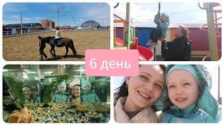 Неделя влогов Молодой мамы #6