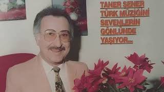 Taner Şener - Her Halinle Her Şeyinle Güzelsin (Nette Tek) Resimi