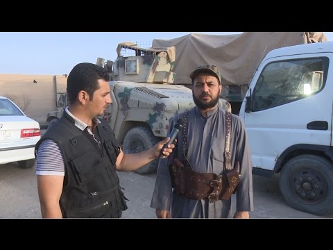 الجيش العراقي ولواء انصار المرجعية في معركة تحرير شرق الفلوجة