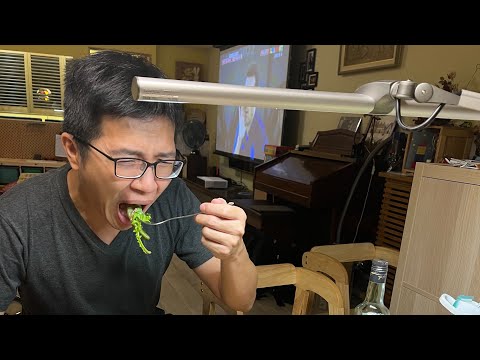 曾增譯 Tseng Tseng Yi - Laisse Aller (Piano Transcription)