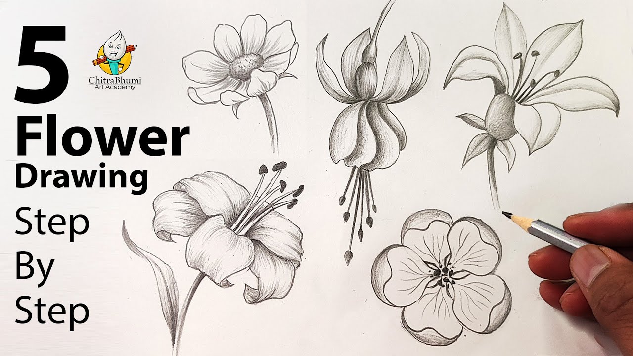 Improve Your Flower Drawing In Less Than 1 Week! — Katrina Crouch | Blushed  Design