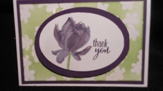 Lotus Blossom Color Combinations