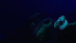 Subnautica | Secrets of the depths: how deep can you dive? screenshot 5