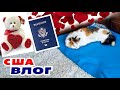 Котя после операции/ Как получить паспорт в США / Шоппинг к Валентинову Дню / Что с вакцинацией в US