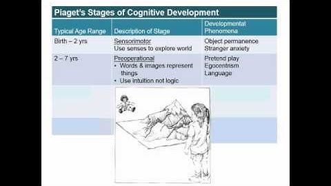 Exploring Psych Ch 4 Cognitive development