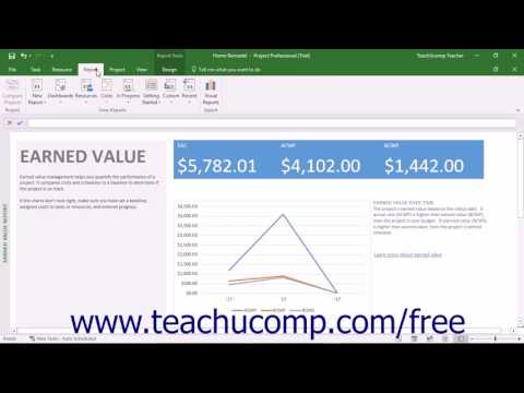 Project 2016 Tutorial Creating Basic Reports Microsoft Training