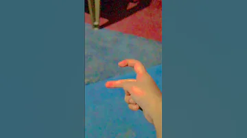 12 August 2025 