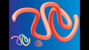 how to use the blend tool in corel draw