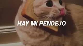 AY MI PENDEJO REMIX