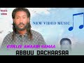 Abbuu Dachaasaa Kuullee Awaash Gamaa New African Ethiopian Oromo Music 2025 Official Video