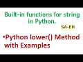 Python lower() | String lower() in Python | Built-in functions for string in Python | CBSE | lower()