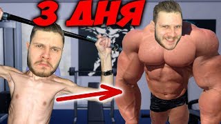 КАК Я НАКАЧАЛСЯ ЗА 3 ДНЯ \\ Gym Simulator