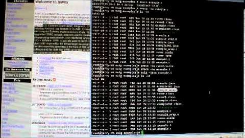 Calling C/C++ Modules from Scala