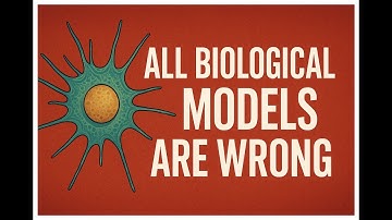 All Models Are Wrong