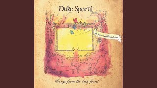 Vignette de la vidéo "Duke Special - Slip Of A Girl"