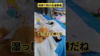 洗濯物を乾かしてます #日常を楽しく