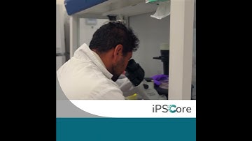A Day in the Life of an iPSC and Gene Editing Scientist