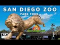 San Diego Zoo Full Tour - Exhibits, Tips & Animal Information