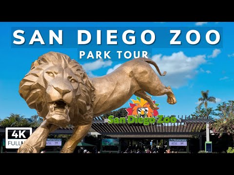 Video: Di manakah zoo sandiego?