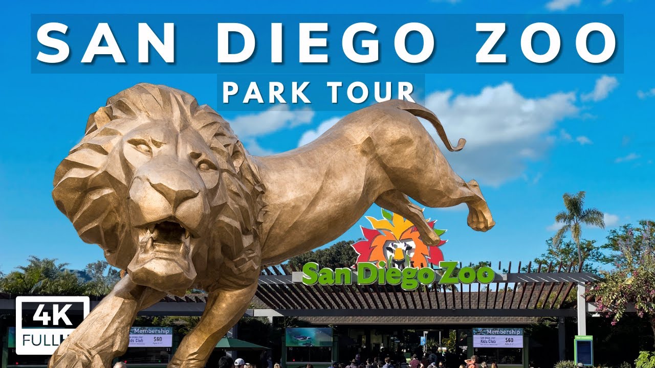 san diego zoo tour video