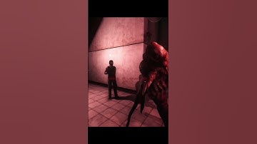 Peanut destroys the server in SCP SL