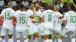 أخر أخبار منتخب الجزائر
