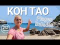 Que faire  koh tao thalande  plages balade en scooter