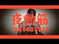 namolla family - 야동근