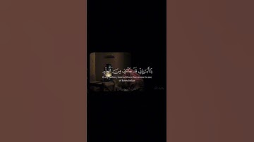 دقيقة من وقتك للقرآن! ايات من سورة مريم بصوت القاري أنس الرعيض