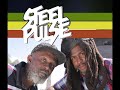 Steel Pulse Tribute Mix 🇯🇲 Mp3 Song