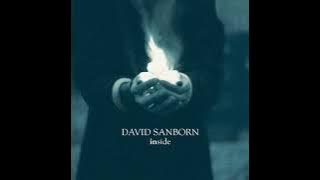 David Sanborn - When I'm with You - 1999