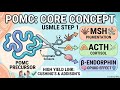 Pro-opiomelanocortin (POMC) Explained — High-Yield Step 1 Endocrinology Made Easy