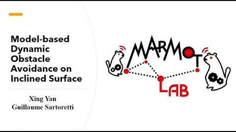 Model based Dynamic Obstacle Avoidance on Inclined Surface