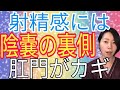 【射精の質向上トレーニング】陰嚢の裏側から肛門までの間に意識を向けて