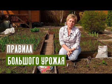 КЛУБНИКА ВЕСНОЙ 🍓 Основные правила ухода / Садовый гид