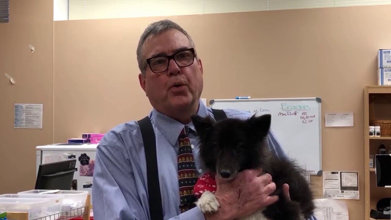 Happy Holidays Cotner Superior Vet Care Dr Dan Otto Dr