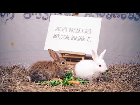 თუ გიჭედავს, შეამოწმე